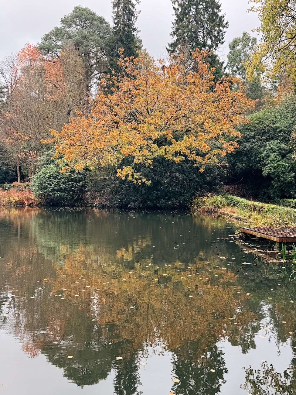 Leonardslee Lakes and Gardens