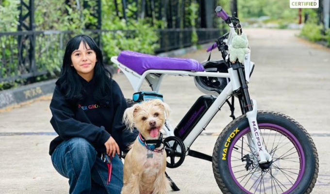 Electric Bikes