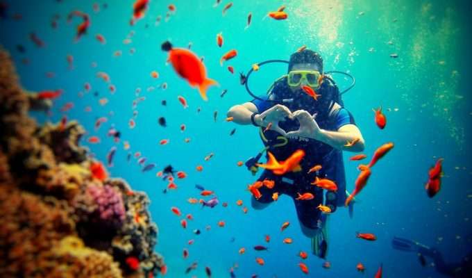 Andaman Sea Diving