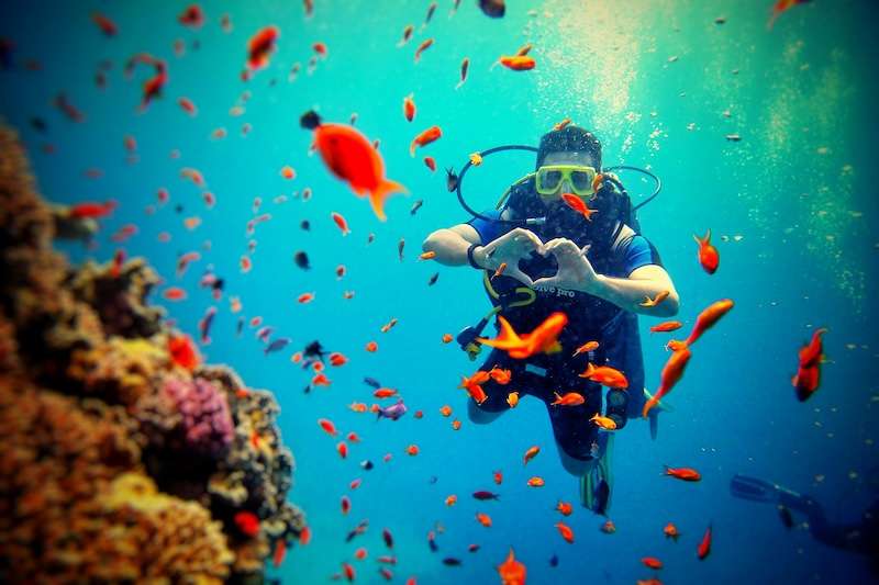 Andaman Sea Diving