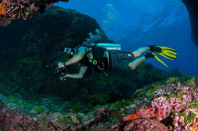 Andaman Sea Diving