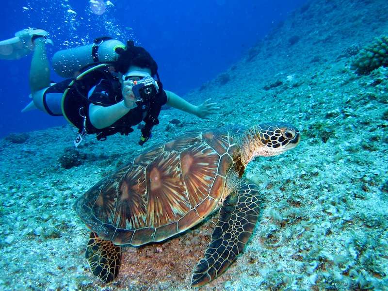 Andaman Sea Diving