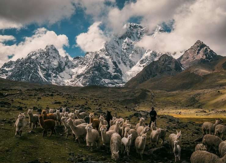 Andean farming